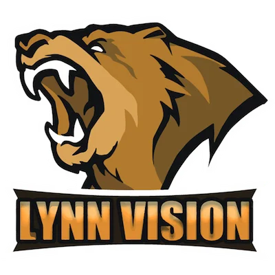 команда lynn-vision