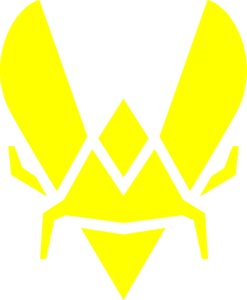 логотип команды Team_Vitality